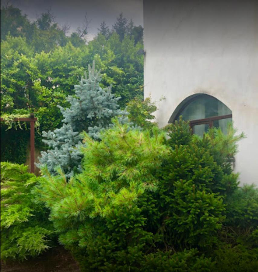 Il Giardino Segreto Apartment Carbognano Exterior photo